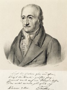 Retrato de Johann Wolfgang von Goethe (Frankfurt