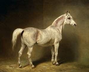 &39;Beatrice&39;, a cavalaria árabe branca de Helmuth Count von Moltke, 1855