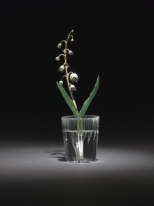 Lily of the Valley, final de 1800 e início de 1900