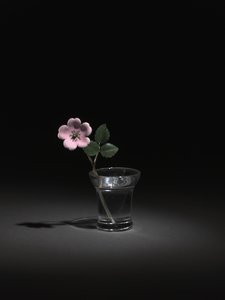 Wild Rose, final de 1800 e início de 1900