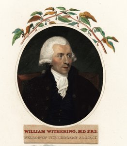 Retrato de William Withering, médico e botânico de Carl Frederik van (after) Breda