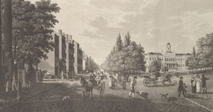 Floresta. de Carl Fredrik Akrell