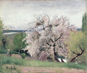 Árvore de fruta em flor, Bois-le-Roi de Carl Fredrik Hill