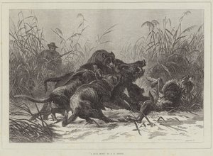 Uma caça ao javali de Carl Friedrich Deiker