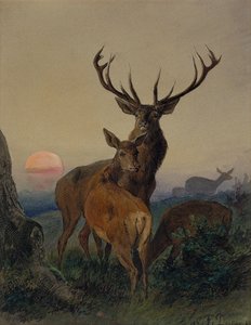 Um veado com um veado numa paisagem arborizada ao pôr-do-sol de Carl Friedrich Deiker