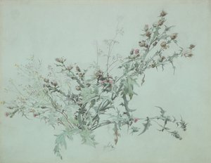 Floresta. de Carl Georg Anton Graeb