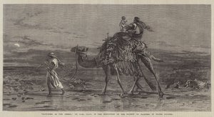 Felicidade no deserto de Carl Haag