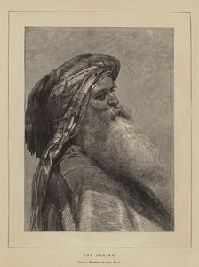 O sheikh de Carl Haag
