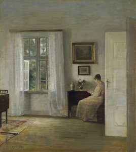 O leitor de Carl Holsoe