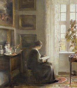 Leitura por uma janela ensolarada de Carl Holsoe