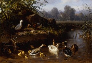 Patos e patinhos em um córrego,