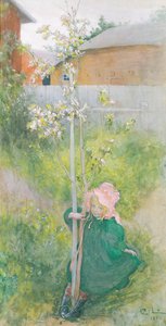 Appleblossom, 1894 de Carl Larsson