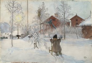 The Yard and Wash-House, da série A Home, c.1895 (wc no papel)