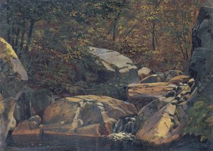 Ribeiro na floresta (Cascata entre blocos rochosos) de Carl Morgenstern