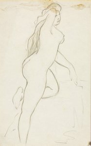 Nu feminino de Carl Newman