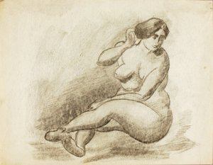 Nus femininos sentados de Carl Newman