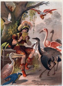 Papageno com uma flauta de panela traz as aves da floresta. Ilustração de Carl Offterdinger (1829-1889) em "A flauta encantada" (Die Zauberflote, flauto mágico, A flauta mágica). Coleção particular.