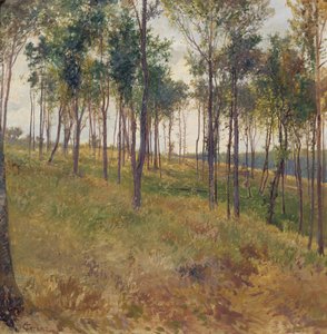 Motivo de floresta perto de Kritzendorf de Carl Raimund Lorenz