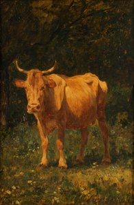 Vaca cor de pão
