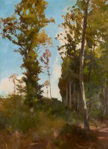 Limpeza perto de Purkersdorf de Carl Schuch