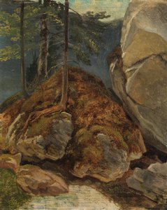 Estudo de óleo com rochas cobertas de musgo de Carl Spitzweg