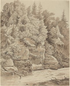 Penhascos arborizados ao longo de um córrego de Carl Wagner