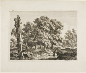 Paisagem