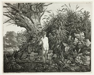 Ninfa em uma floresta pantanosa