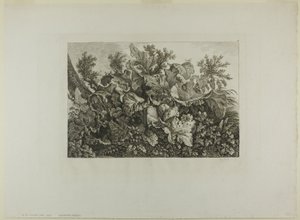 Plantas de pântano