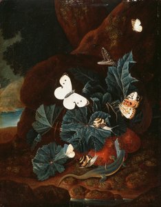Uma natureza morta no chão da floresta com um lagarto, borboletas, caracol e uma cobra (óleo no painel)