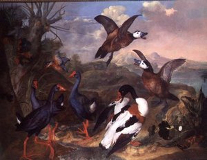 Aves em Paisagem