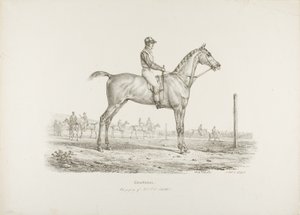 Constance, Propriedade do Sr. J.G. Schickler de Carle Vernet