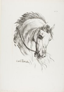 Pormenor da cabeça de um cavalo, ampliada para o triplo, Hussard, Guarda Real, n.º 6 de Carle Vernet