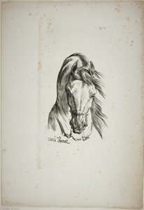 Pormenor da cabeça de um cavalo, ampliada para o triplo, Guarda Real Normanda, n.º 1 de Carle Vernet
