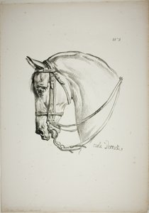 Pormenor da cabeça de cavalo, ampliada para o triplo, Guarda Real normanda, n.º 2 de Carle Vernet