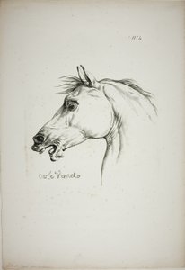 Pormenor da cabeça de um cavalo, ampliada para o triplo, Guarda Real Normanda, n.º 4 de Carle Vernet