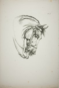 Pormenor da cabeça do cavalo, ampliada para o triplo, Guarda Real Normanda, n.º 5, Primeiro Cavalo de Limoges de Carle Vernet