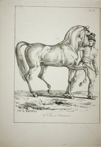 Guarda Real, Norman Cavalier, não em traje completo, e Cavalo, No. 3 de Carle Vernet