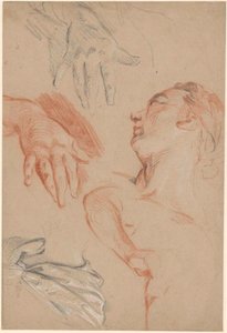 Folha de estudo de Carle van Loo
