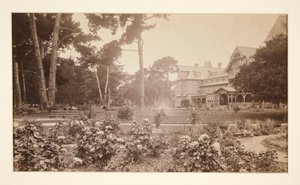 Hotel del Monte, Monterey, Rose Garden de Carleton E. Watkins