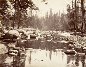 Merced River, ca. 1872, impresso ca. 1876. de Carleton E. Watkins.