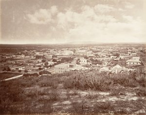 Floresta. de Carleton Emmons Watkins