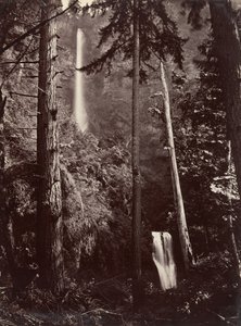 Multnomah Falls, Oregon, 1867, impresso mais tarde. de Carleton Emmons Watkins