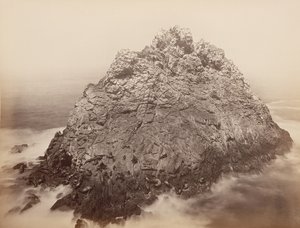 Floresta. de Carleton Emmons Watkins