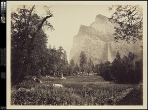 O véu de noiva, 900 pés. Yosemite, c.1865 de Carleton E. Watkins