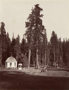 The Sentinel, 315 pés, 1865-66, impresso ca. 1876. de Carleton Emmons Watkins
