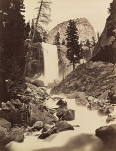 Outono Vernal, Yosemite, 1865-66, impresso ca. 1875. de Carleton Emmons Watkins