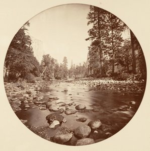 Floresta. de Carleton Emmons Watkins