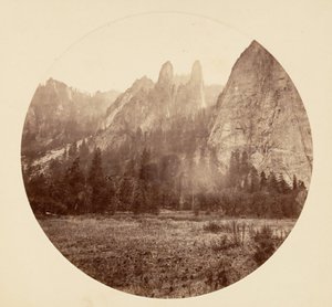 Floresta. de Carleton Emmons Watkins