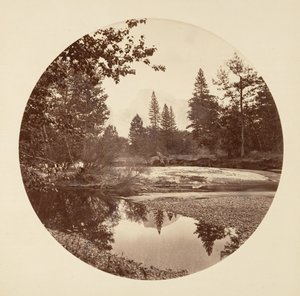 Floresta. de Carleton Emmons Watkins